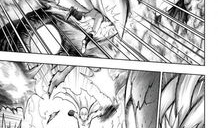 琦玉漫画,从平凡到英雄的逆袭之路