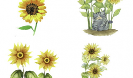 漫画向日葵图片,向日葵的漫画魅力